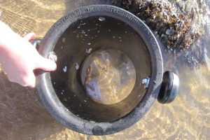 Using the home-made bathyscope to look at reef pools The Fresh and the Salt - Ann Lingard, UK