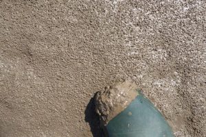 Under our feet, thousands of entrances to mudshrimp burrows The Fresh and the Salt - Ann Lingard, UK