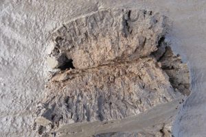 Mudshrimp & ragworm burrows, revealed The Fresh and the Salt - Ann Lingard, UK