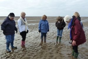 Shore-walkers using 'thixotropy' to burrow The Fresh and the Salt - Ann Lingard, UK
