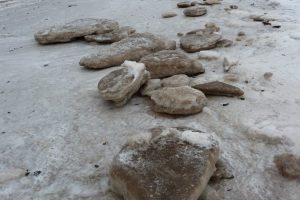 Ice-floes on the shore, December 2010 The Fresh and the Salt - Ann Lingard, UK