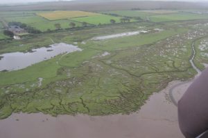 Cardurnock saltmarsh The Fresh and the Salt - Ann Lingard, UK