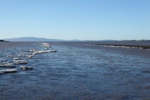 Ice-floes on the tidelines at Bowness, January 2019 The Fresh and the Salt - Ann Lingard, UK