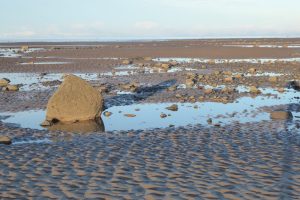 Where do you live on a sandy shore? The Fresh and the Salt - Ann Lingard, UK