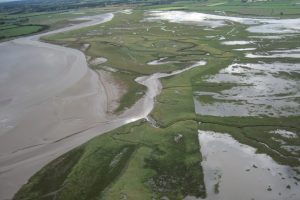 Saltcoat & Newton Arlosh marsh by Moricambe Bay