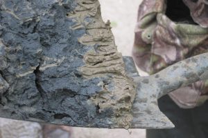 A spadeful of mudshrimp, Corophium, burrows; black is anoxic mud, ochre is oxygenated.